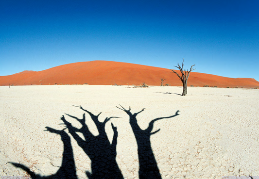 Dead Vlei disappearance