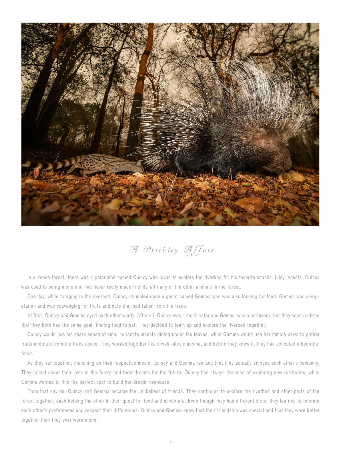 Once Upon a Time – Standard Edition - HPH Publishing South Africa