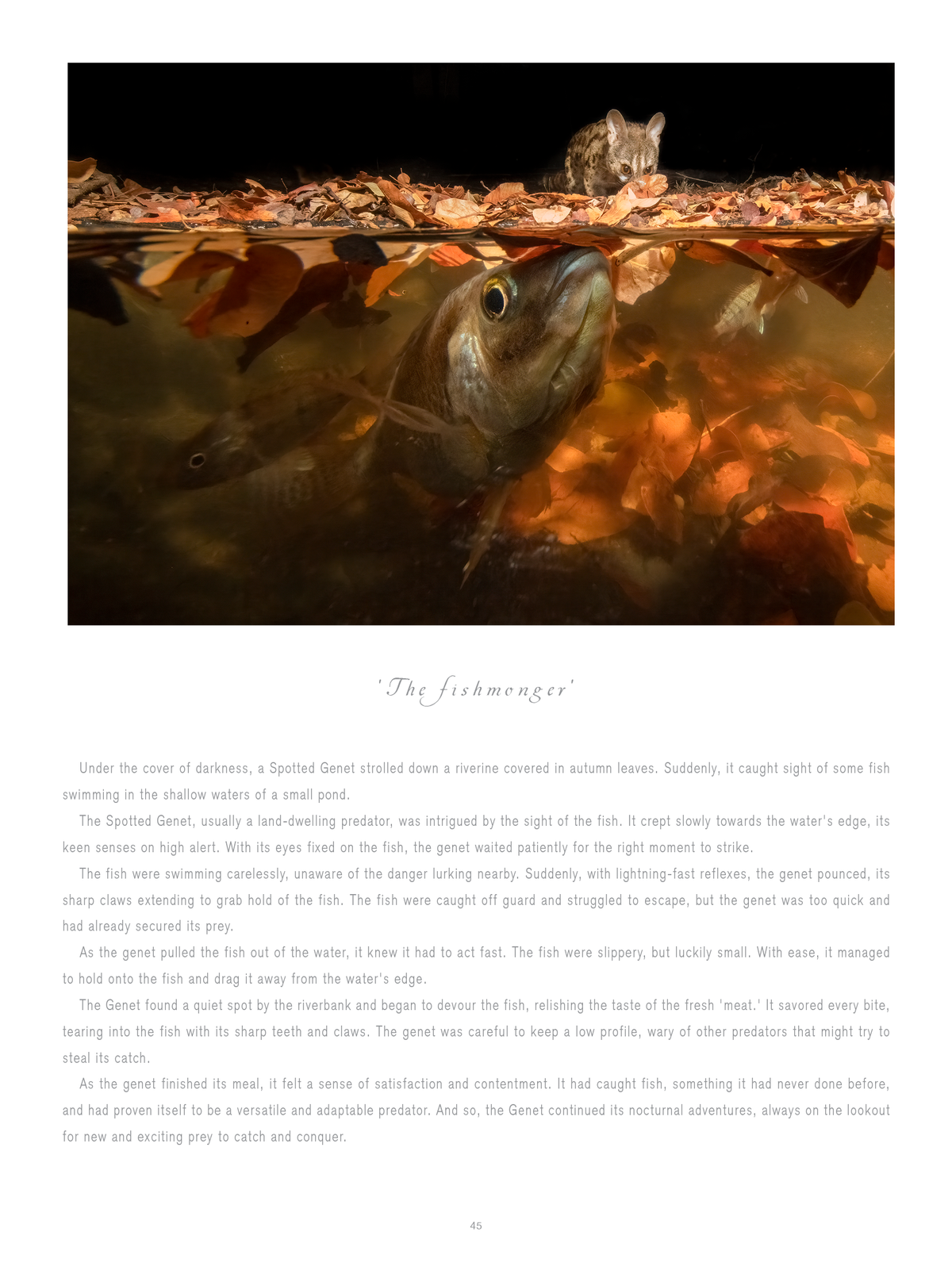 Once Upon a Time – Standard Edition - HPH Publishing South Africa