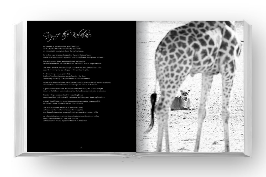 Eden - Soul of Africa - HPH Publishing South Africa