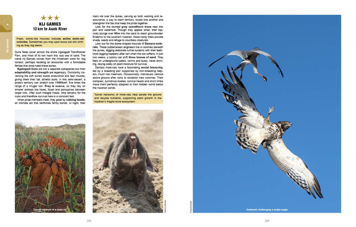 Kgalagadi Self-Drive Revised & Updated Edition - HPH Publishing South Africa