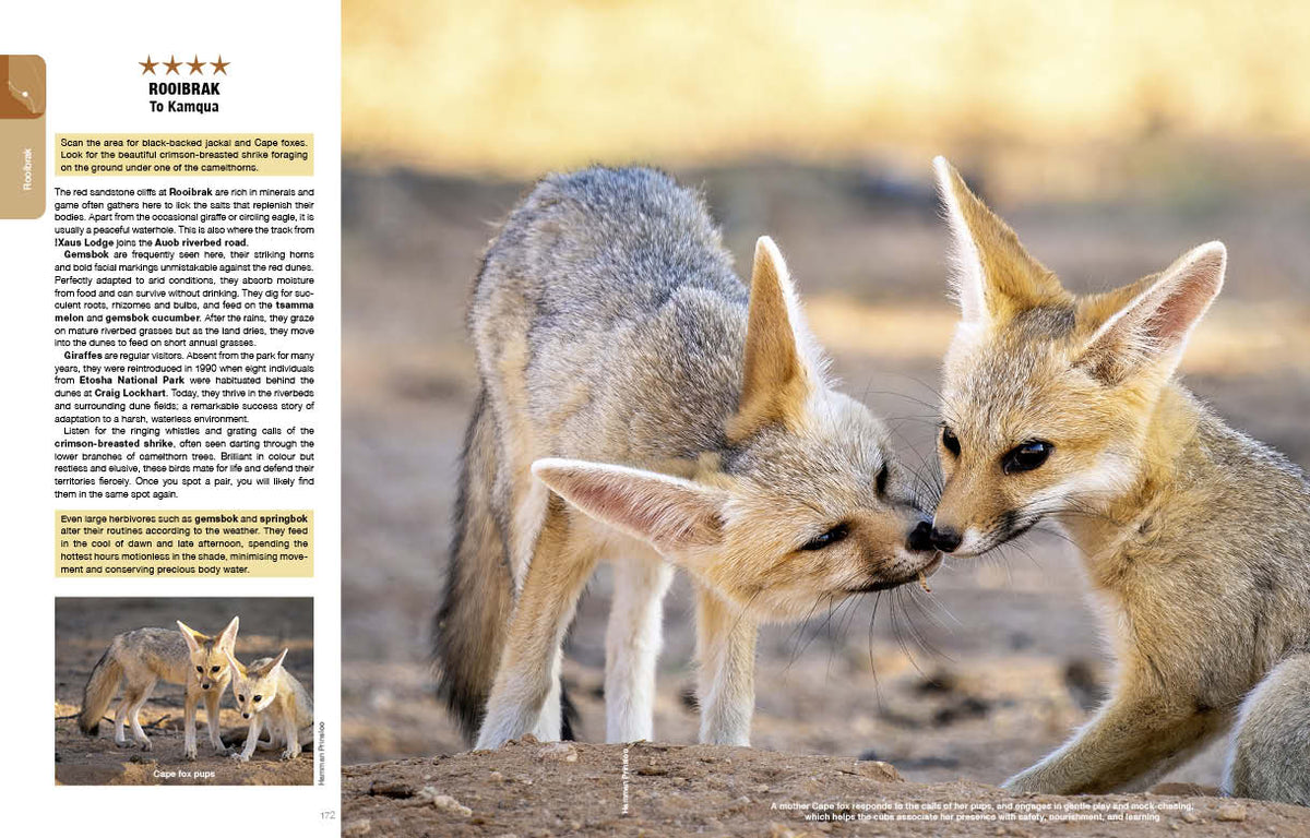 Kgalagadi Self-Drive Revised & Updated Edition - HPH Publishing South Africa