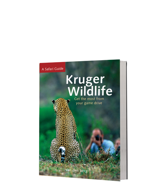 Kruger Wildlife – Get the Most from your Game Drive