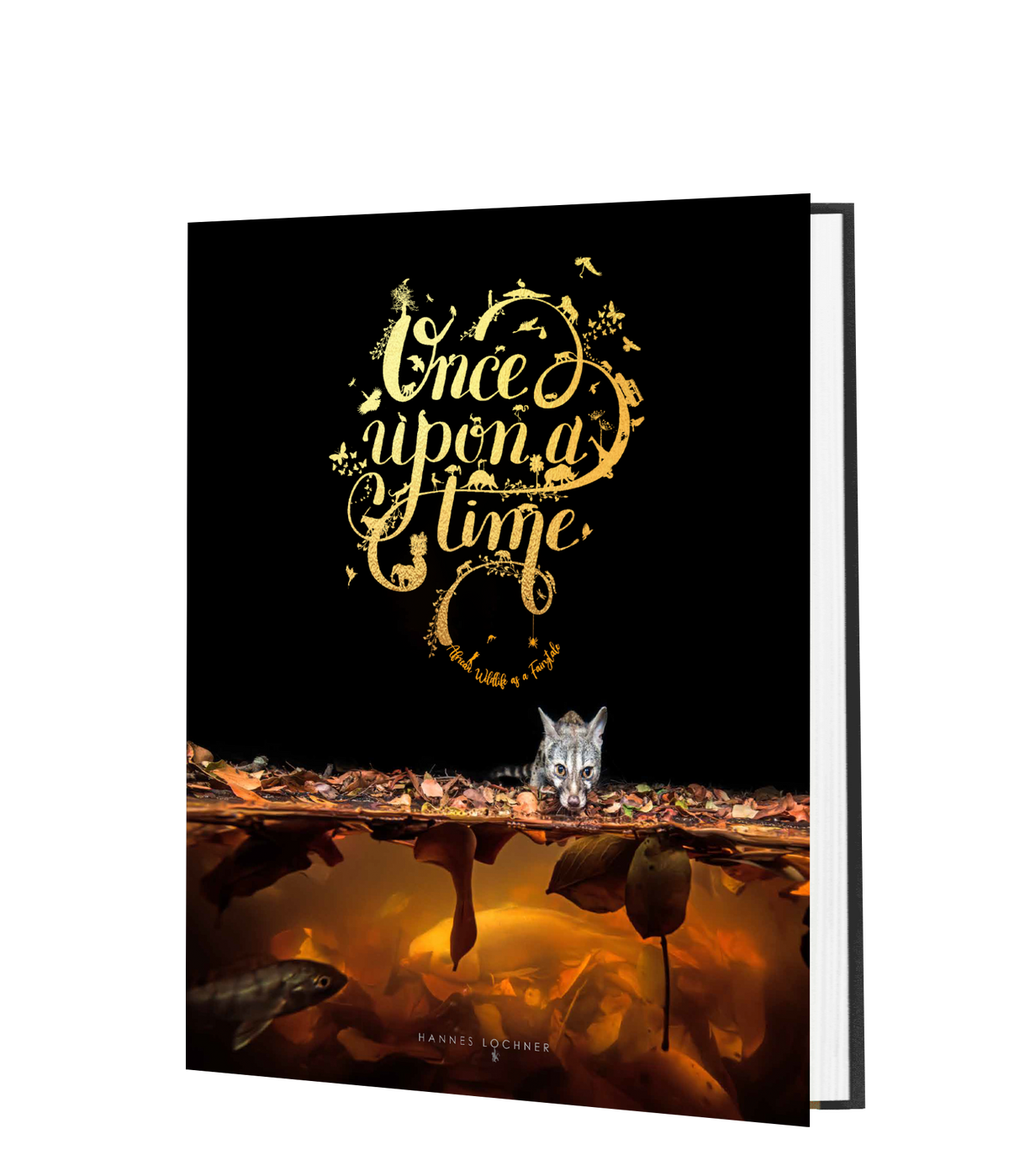 Once Upon a Time – Standard Edition - HPH Publishing South Africa