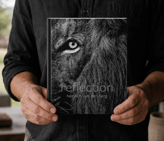 Reflection – Compact Edition