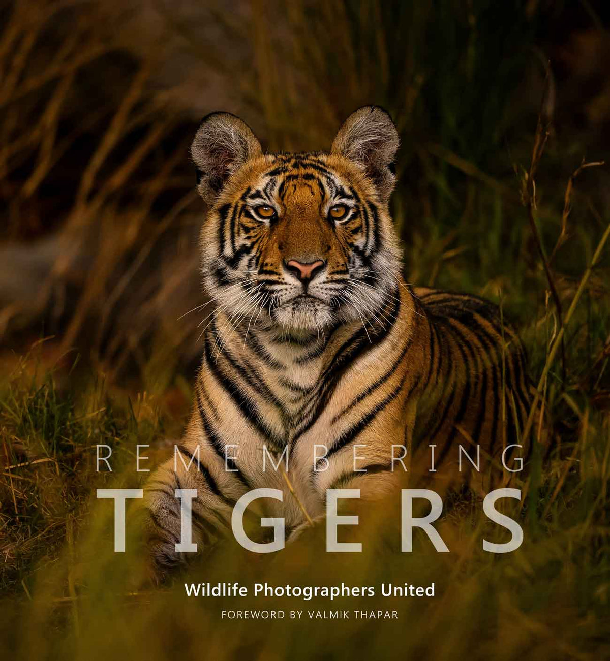 Remembering Tigers - HPH Publishing South Africa