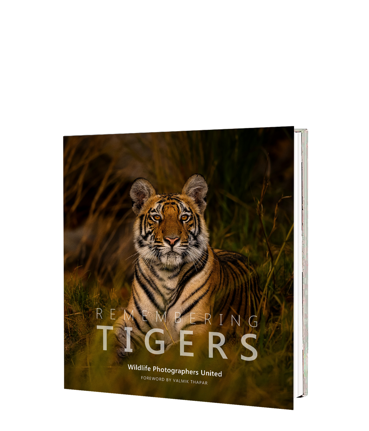 Remembering Tigers - HPH Publishing South Africa