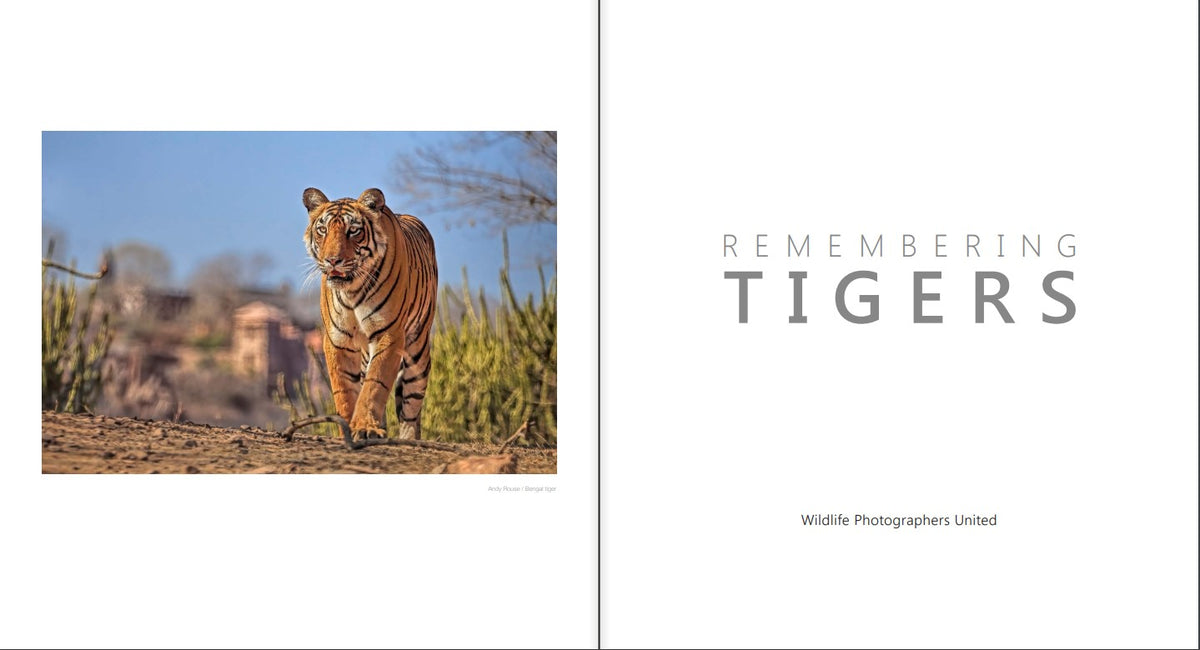 Remembering Tigers - HPH Publishing South Africa