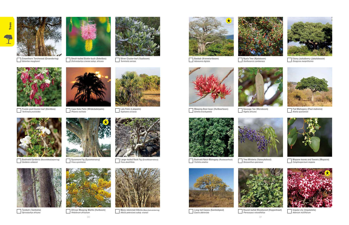 Tick, Track & Listen – Kruger