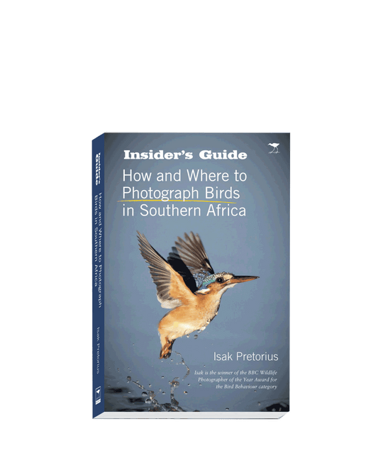 How and Where to Photograph Birds in Southern Africa - HPH Publishing South Africa