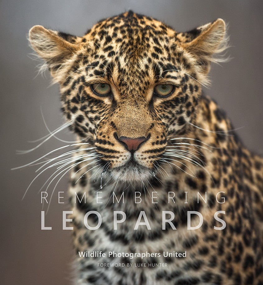 Remembering Leopards