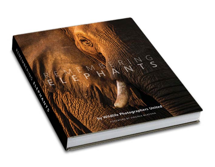 Remembering Elephants - HPH Publishing South Africa