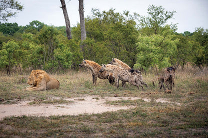 Photo Safari – Kruger