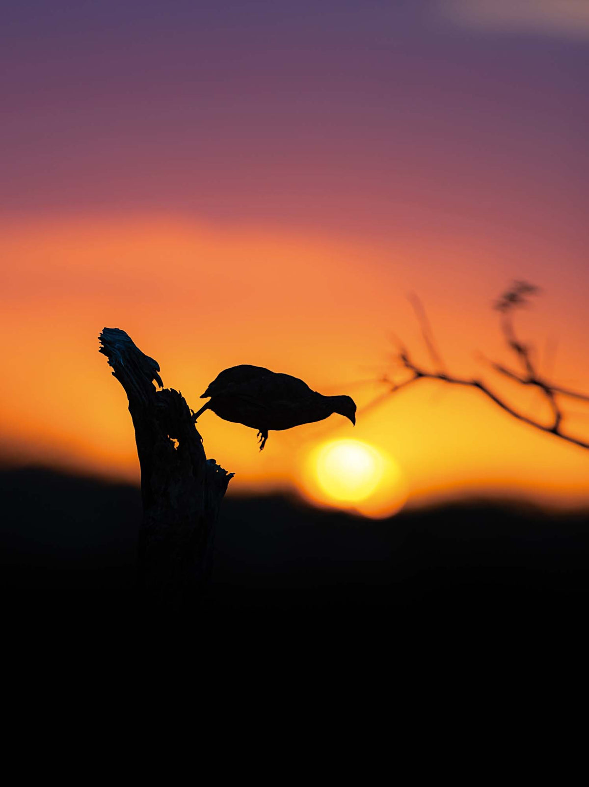 Photo Safari – Kruger - HPH Publishing South Africa