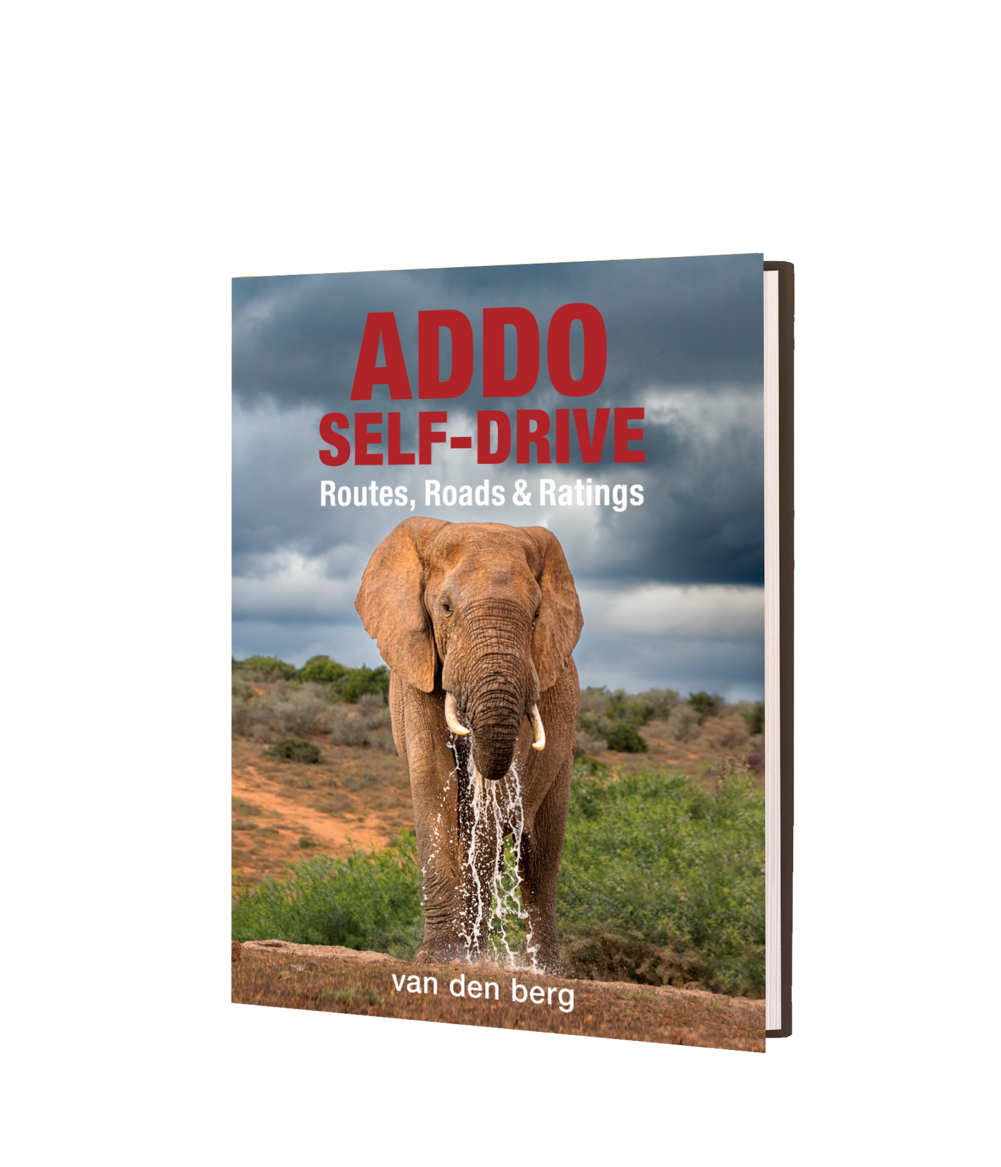 Addo Self-Drive – Routes, Roads and Ratings