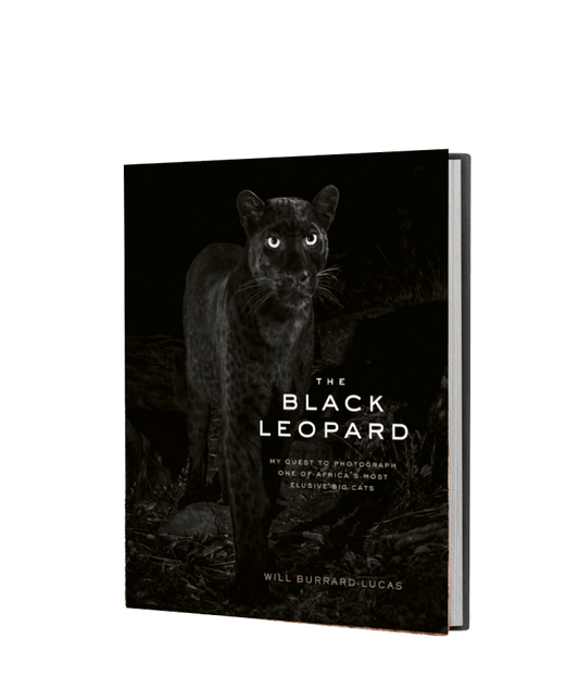 The Black Leopard