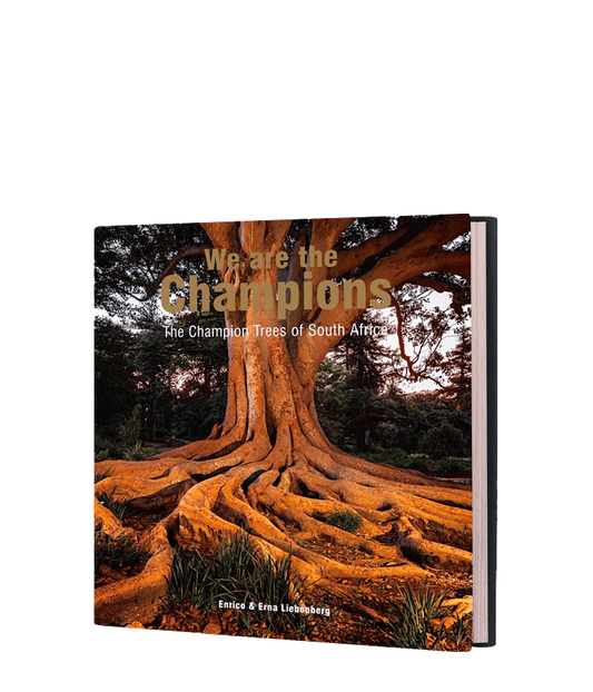 We are the Champions - HPH Publishing South Africa