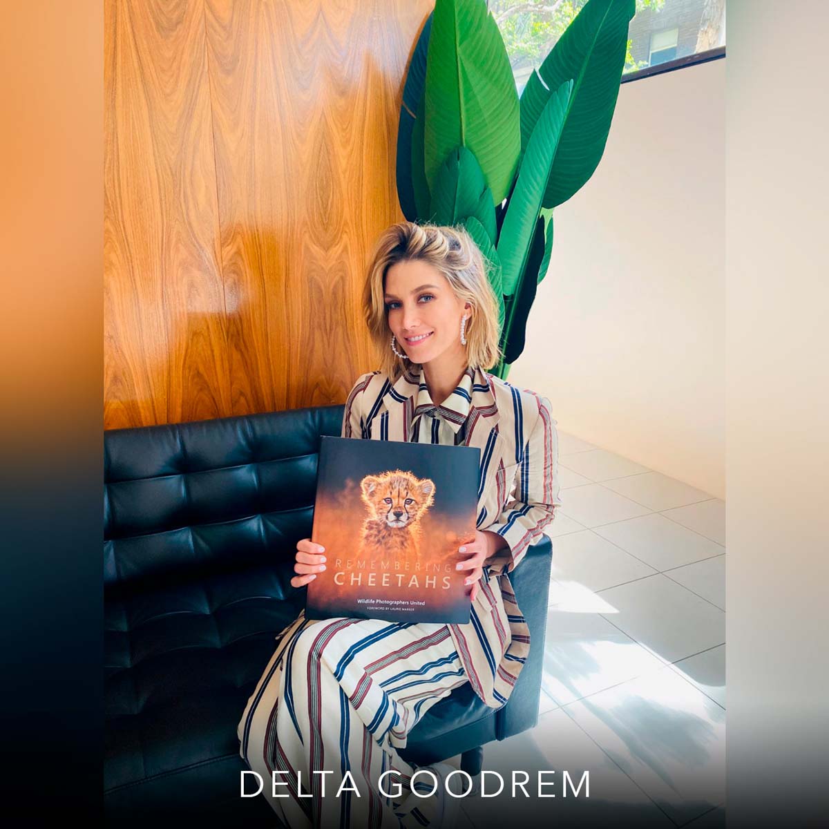 Remembering Cheetahs - HPH Publishing South Africa