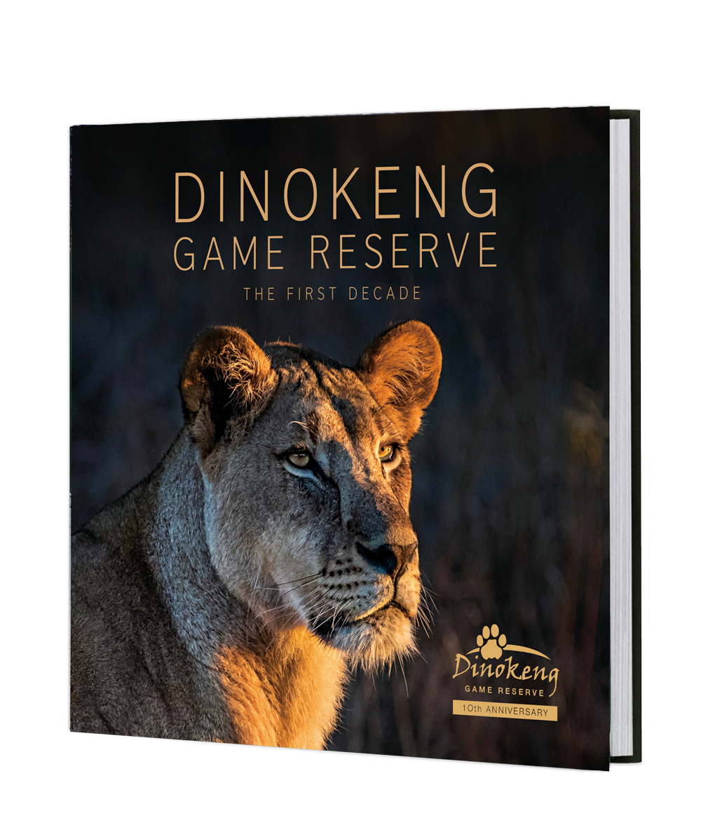 Dinokeng Game Reserve – The First Decade
