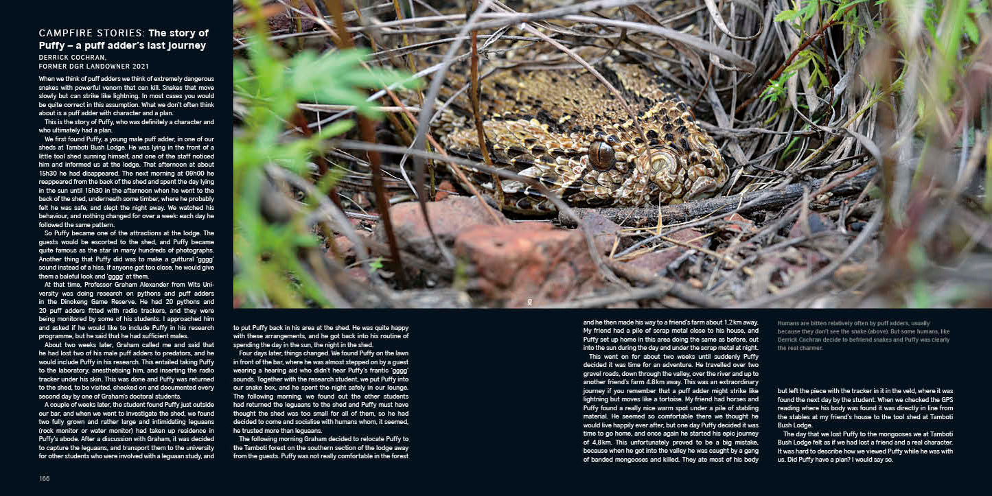 Dinokeng Game Reserve – The First Decade