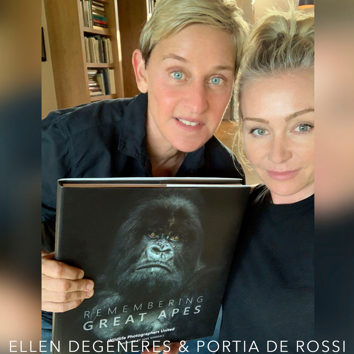 Remembering Great Apes - HPH Publishing South Africa