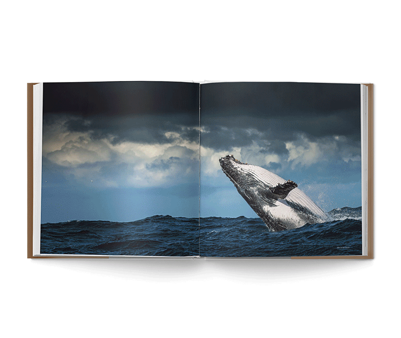 On Safari with OutdoorPhoto - HPH Publishing South Africa