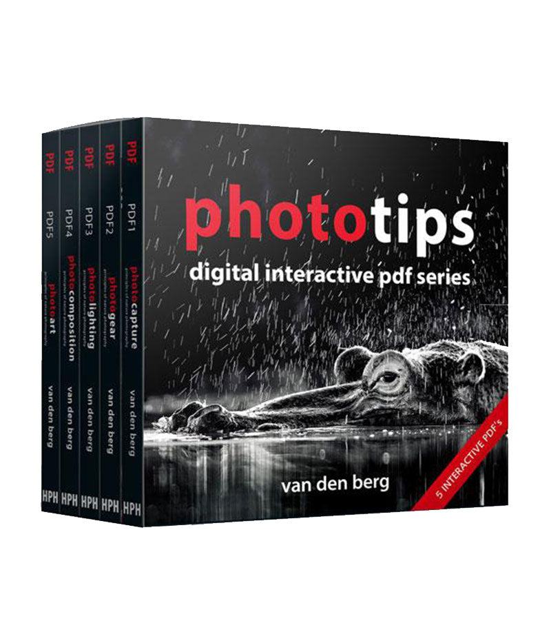 Phototips That Will Make You Second Guess Your Smartphone