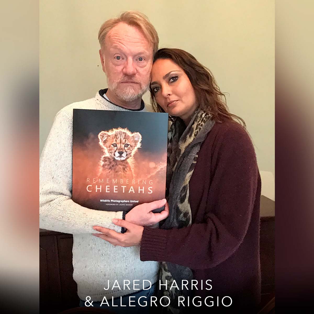 Remembering Cheetahs - HPH Publishing South Africa
