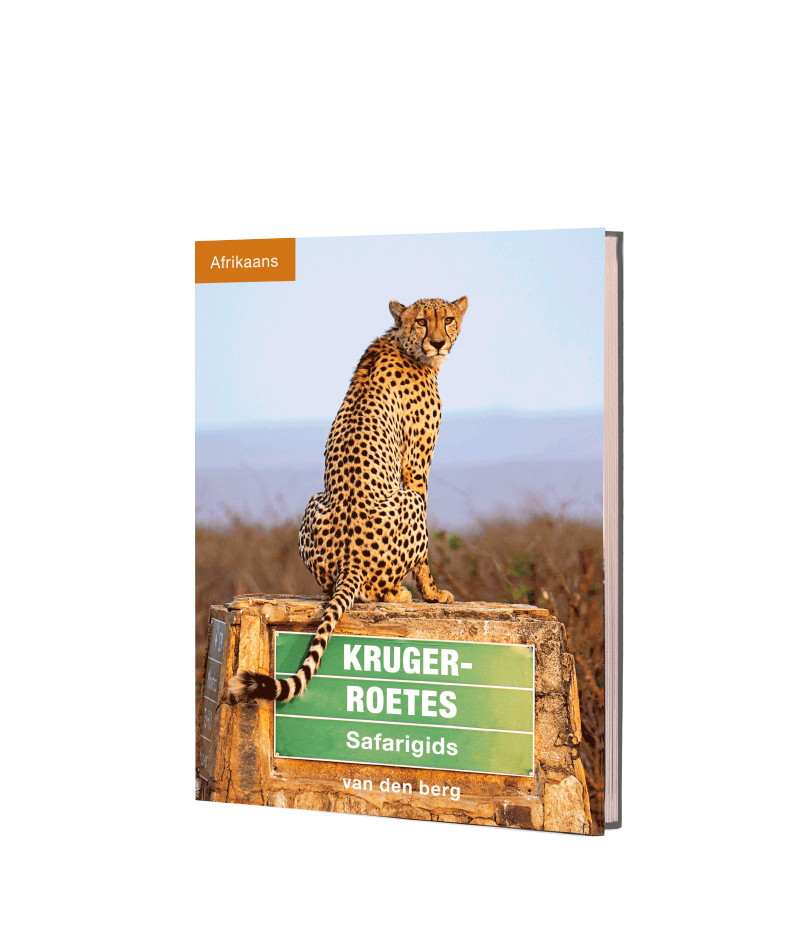 Kruger Roetes – Afrikaans - HPH Publishing South Africa