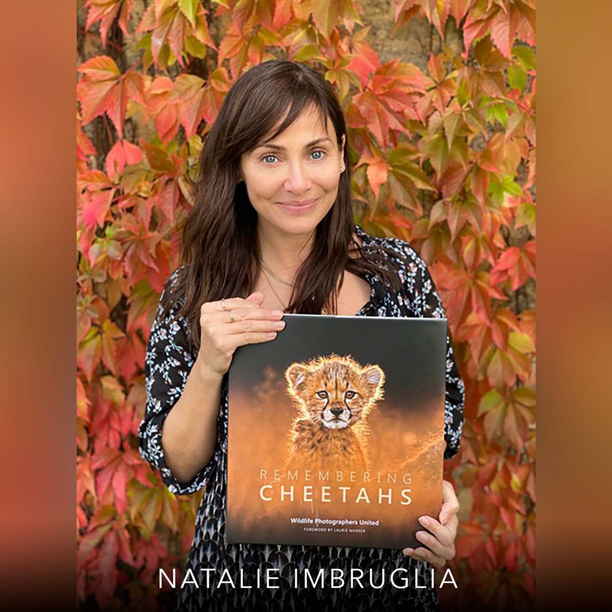 Remembering Cheetahs - HPH Publishing South Africa