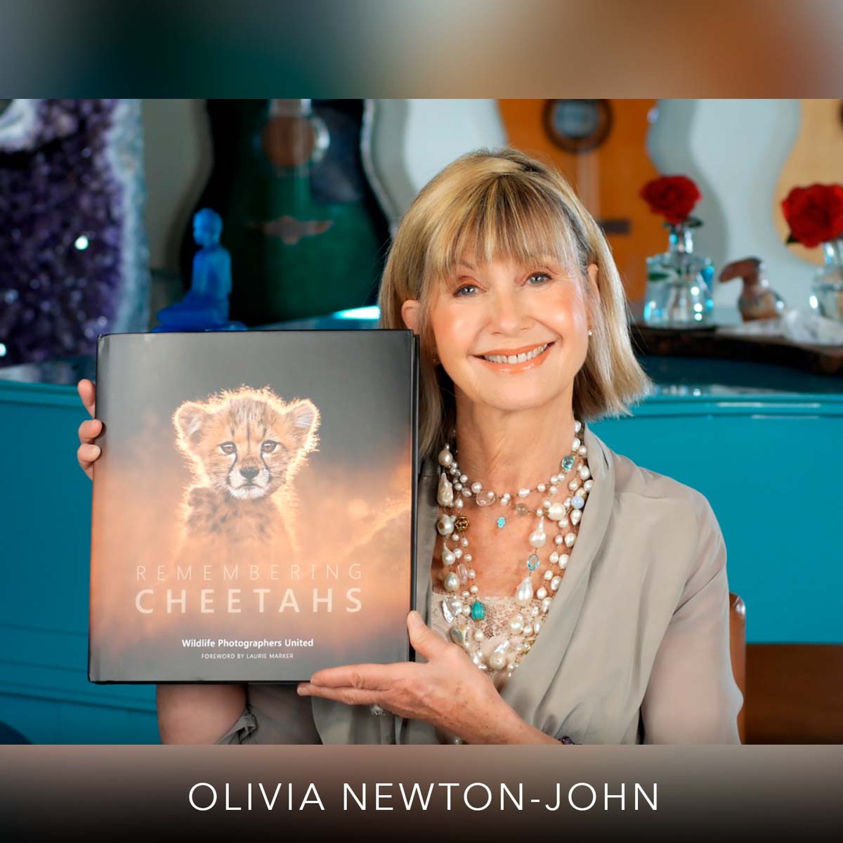 Remembering Cheetahs - HPH Publishing South Africa