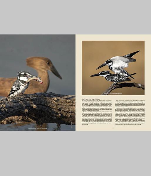 Pilanesberg Self-Drive Wildlife Trust Sales - HPH Publishing South Africa
