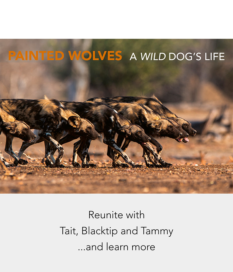 Painted Wolves - HPH Publishing South Africa