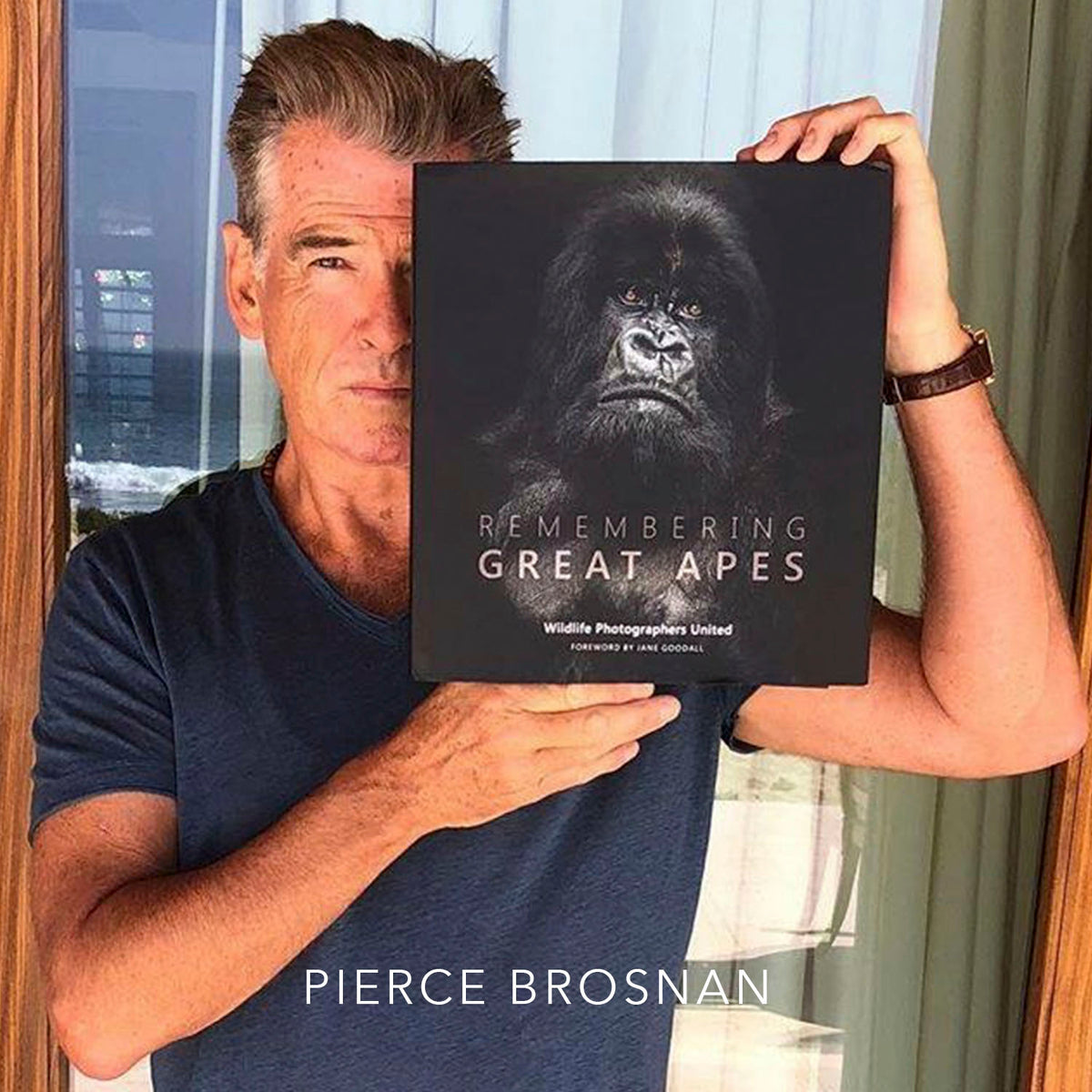 Remembering Great Apes - HPH Publishing South Africa