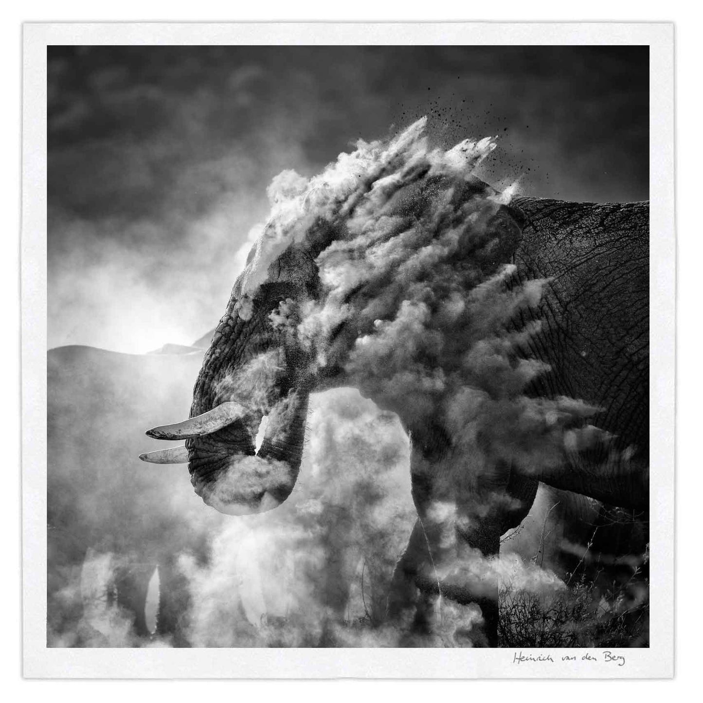 Elephant Ghost 9 - HPH Publishing South Africa