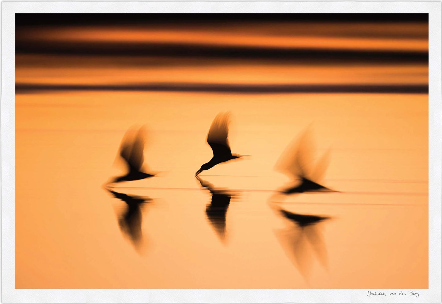 Birds at Sunset Fine Art Print - HPH Publishing South Africa