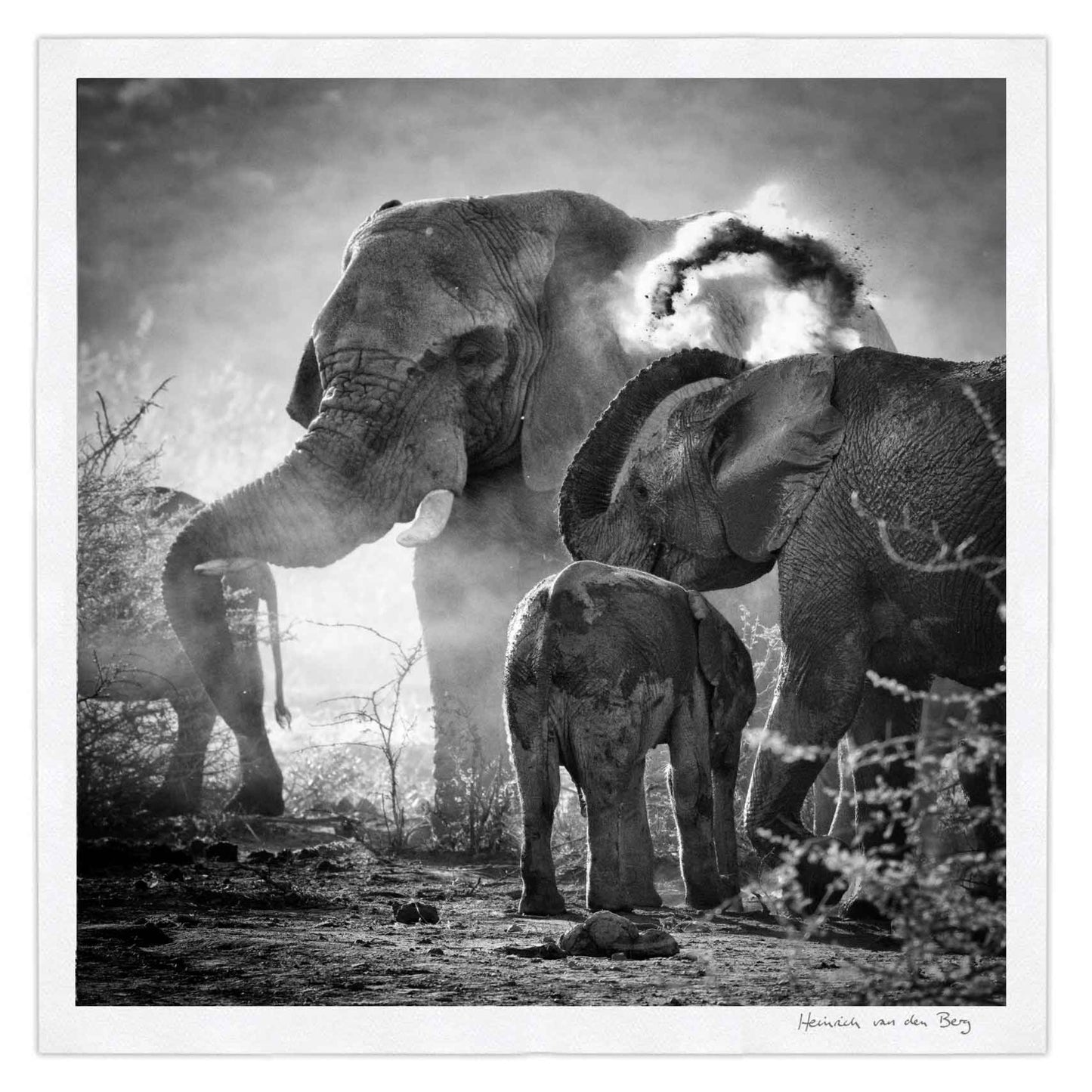 Elephant Ghost 4 - HPH Publishing South Africa