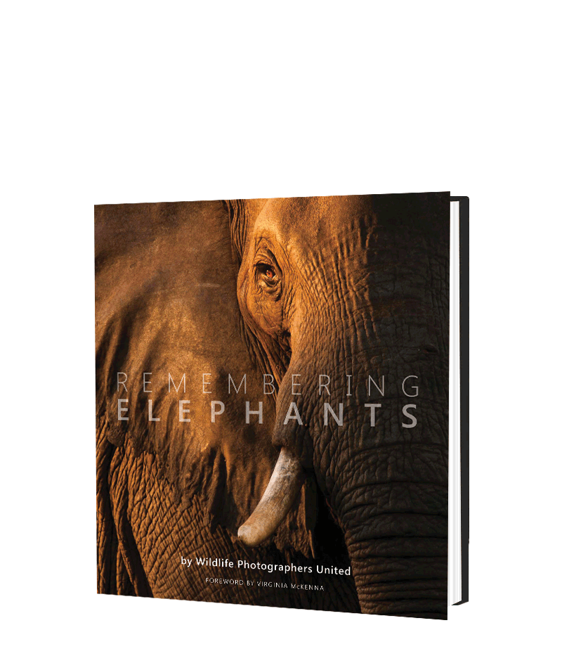 Remembering Elephants - HPH Publishing South Africa