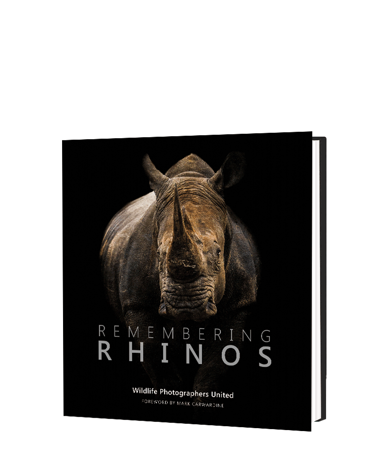 Remembering Rhinos - HPH Publishing South Africa