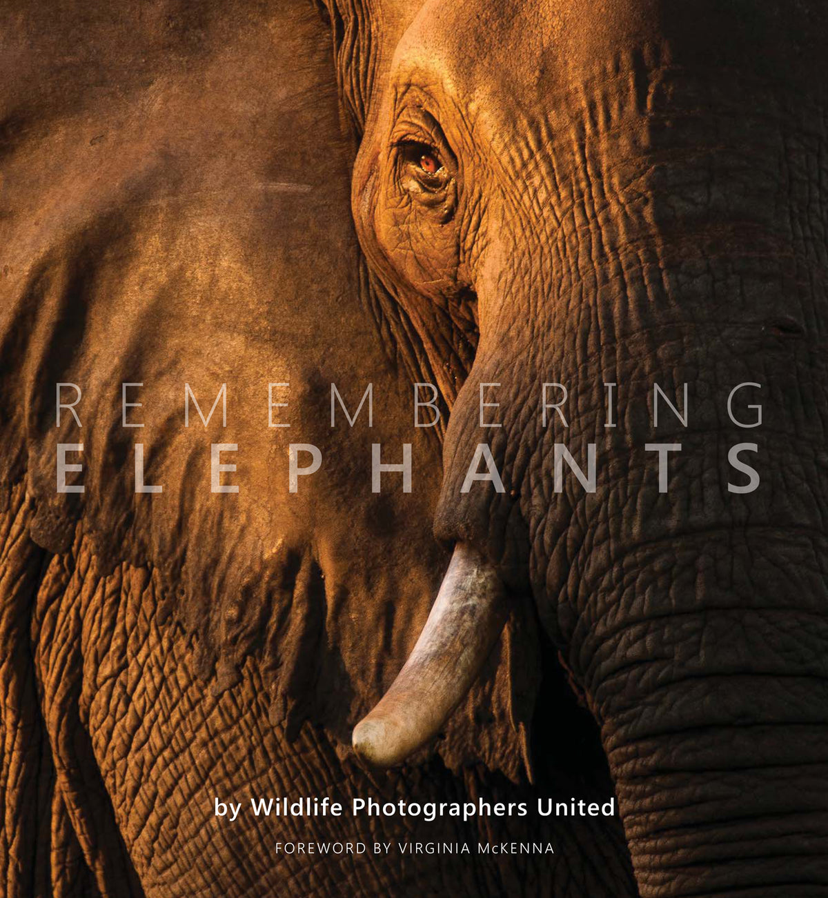 Remembering Elephants - HPH Publishing South Africa