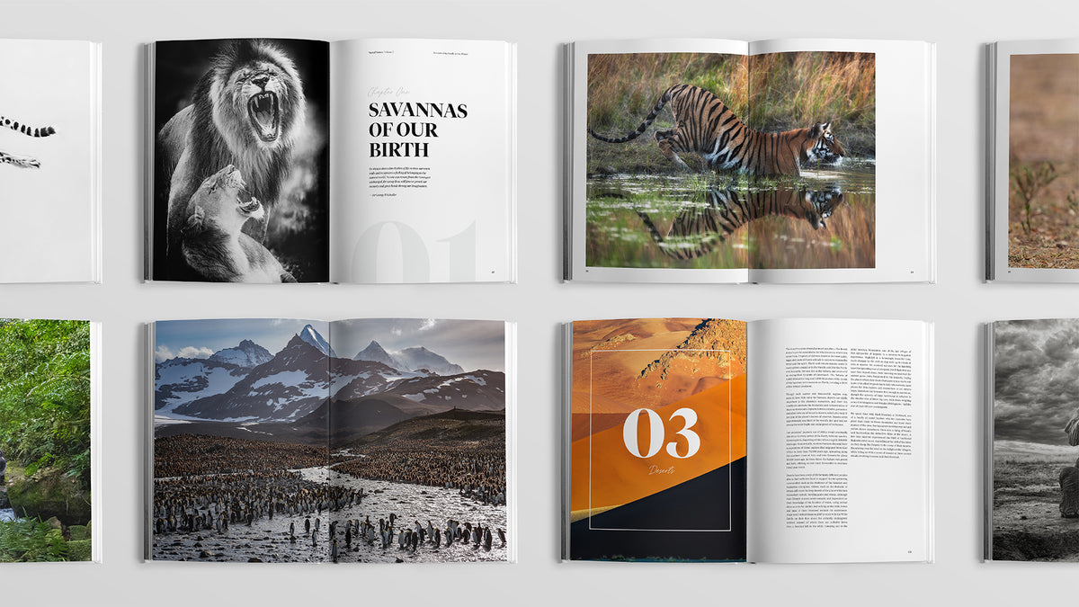 Sacred Nature 2: Reconnecting People to Our Planet - Limited Edition - HPH Publishing South Africa