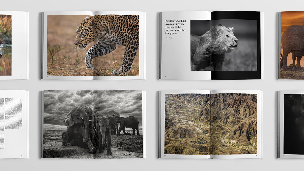 Sacred Nature 2: Reconnecting People to Our Planet - Limited Edition - HPH Publishing South Africa