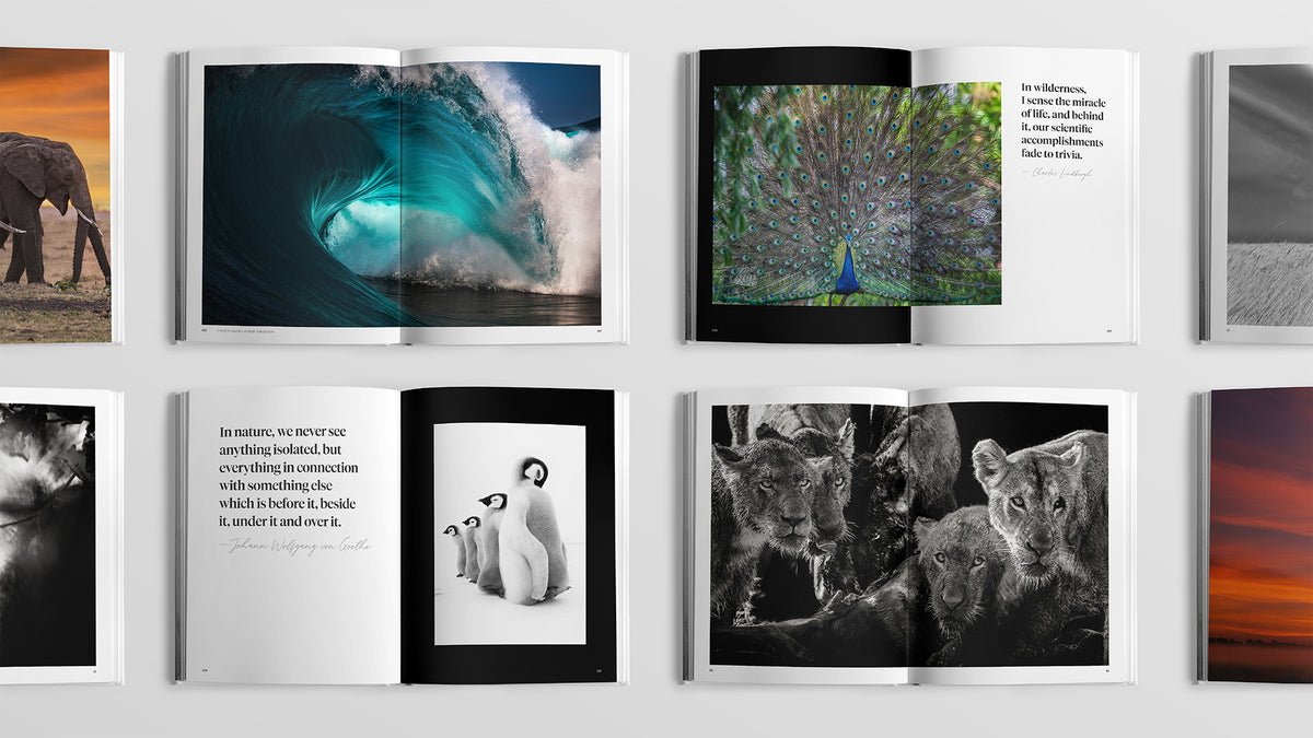 Sacred Nature 2: Reconnecting People to Our Planet - Limited Edition - HPH Publishing South Africa