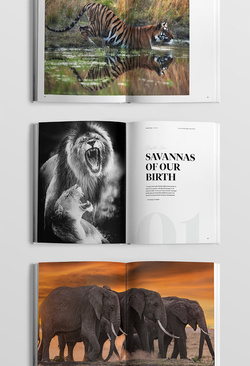 Sacred Nature 2: Reconnecting People to Our Planet - Limited Edition - HPH Publishing South Africa