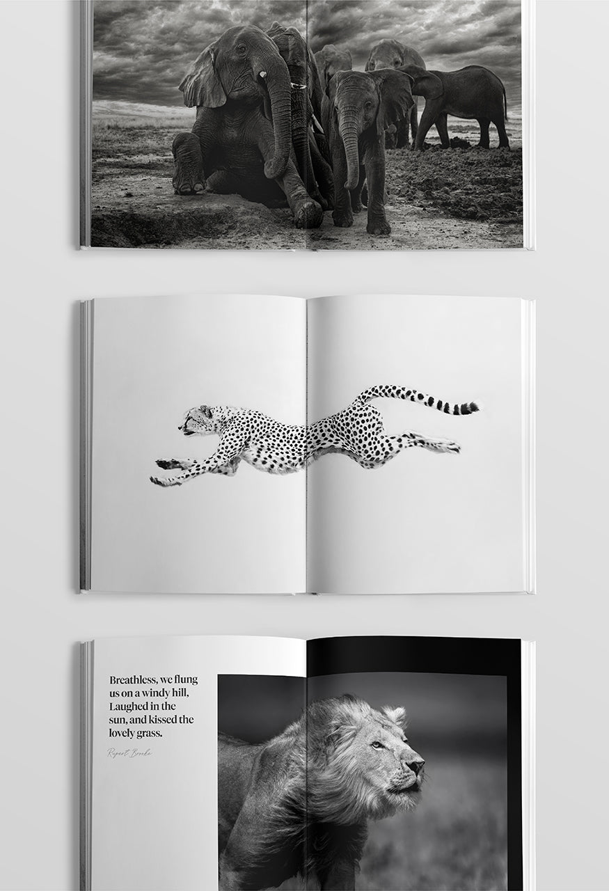 Sacred Nature 2: Reconnecting People to Our Planet - Limited Edition - HPH Publishing South Africa