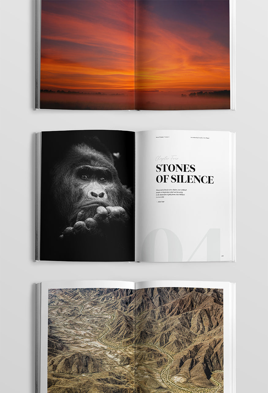 Sacred Nature 2: Reconnecting People to Our Planet - Limited Edition - HPH Publishing South Africa