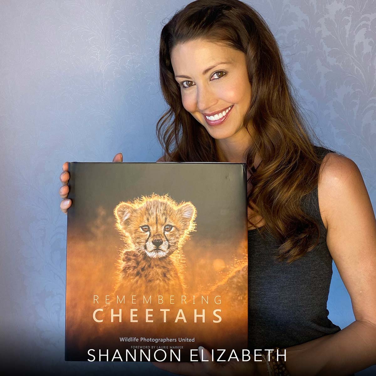 Remembering Cheetahs - HPH Publishing South Africa