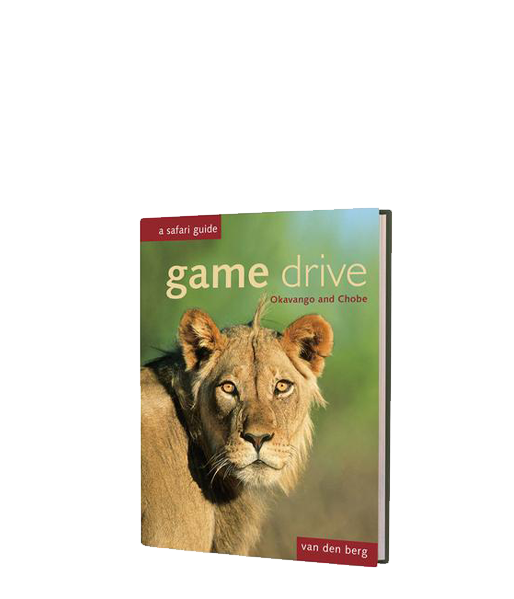 Game Drive Botswana - HPH Publishing South Africa