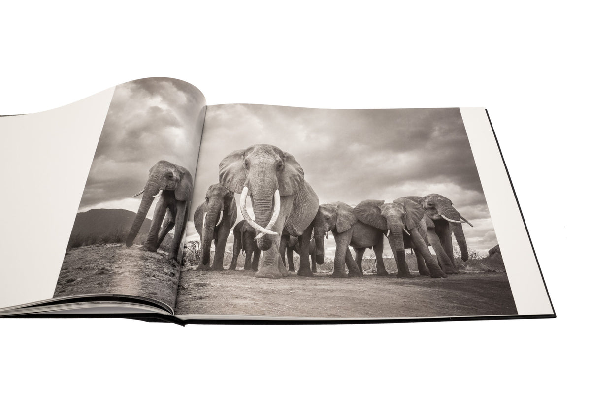 Land of Giants - HPH Publishing South Africa