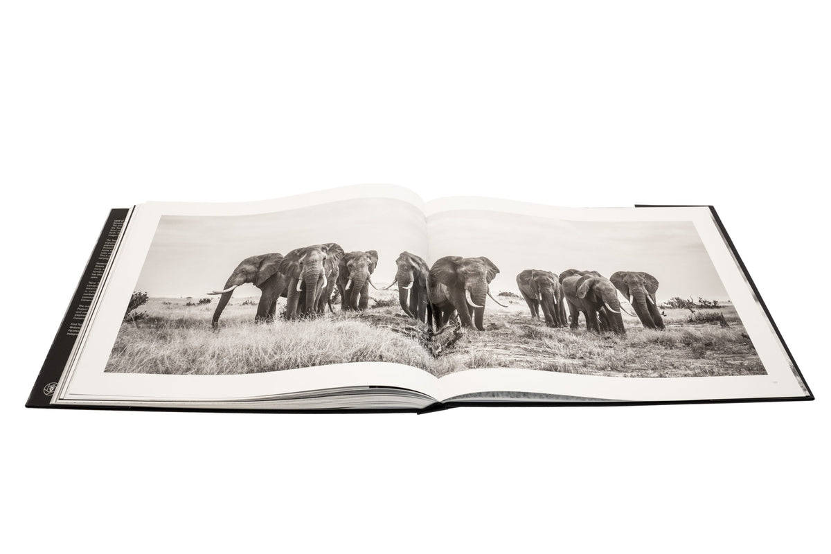 Land of Giants - HPH Publishing South Africa